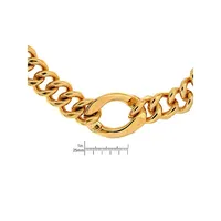 18K Goldplated Large Link Chain Necklace