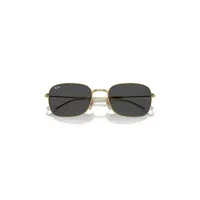 Rb3706 Transitions® Sunglasses