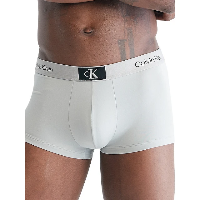 hudson bay calvin klein men's underwear