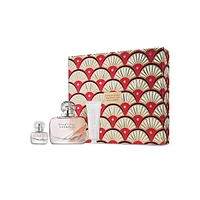 Beautiful Magnolia Favorites Trio Fragrance Set