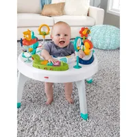 2-in-1 Sit-to-Stand Spin Activity Center