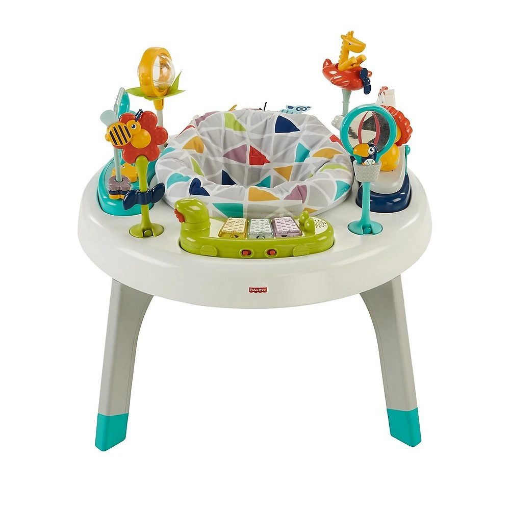 2-in-1 Sit-to-Stand Spin Activity Center