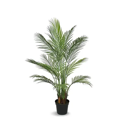 Faux Botanical Areca Palm Tree In Green 53 In. Height