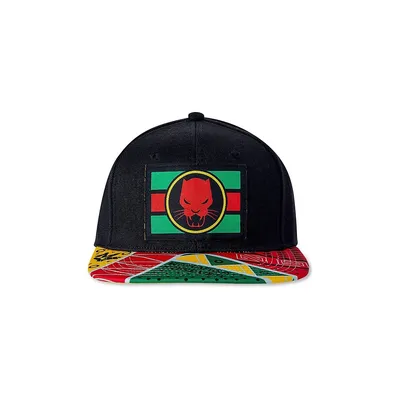 Marvel Black Panther Wakanda Colors Snapback Hat