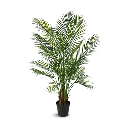 Faux Botanical Areca Palm In Green 59 In. Height