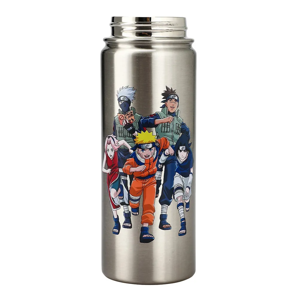 Superman Character and Symbol Stainless Water Bottle