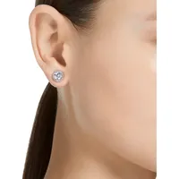 Constella Rhodium-Plated & Round-Cut Crystal Stud Earrings