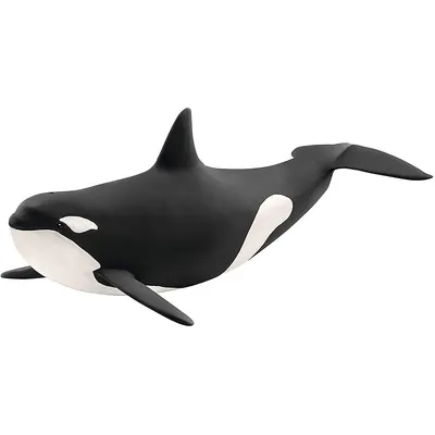 Wild Life: Killer Whale (orca)