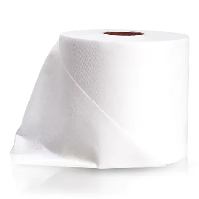 Flushable Disposable Diaper Liners