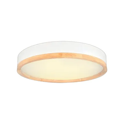 Ceiling Light With Integrated Led, 19.7" Diameter, From The Valentine Collection, White