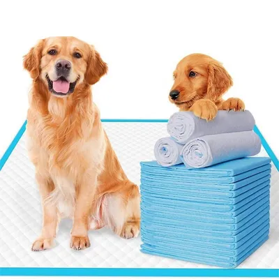 Puppy Training Pads For Dog Pet Pee Absorbent Toilet Pee Wee Mat Anti Slip Leakproof (200 Pack-60*60cm)
