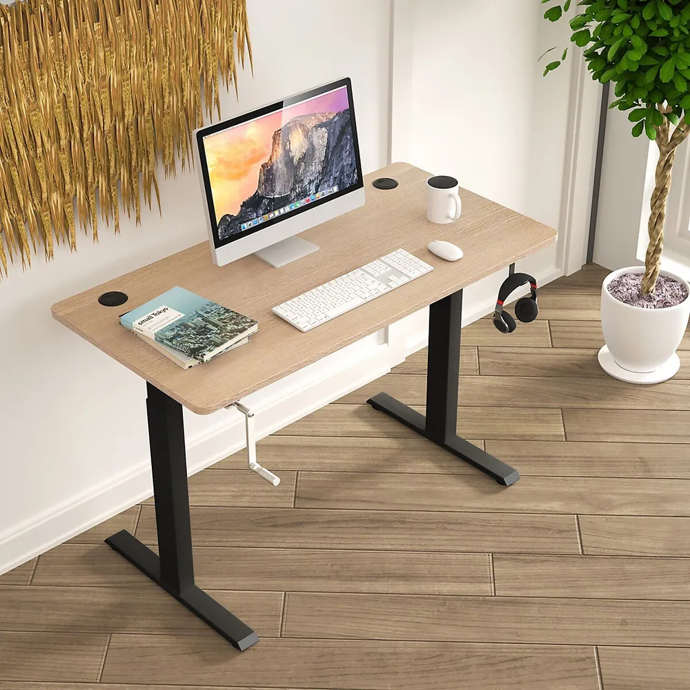 Costway Electric Adjustable Standing Desk Stand up Workstation w/Control  Black