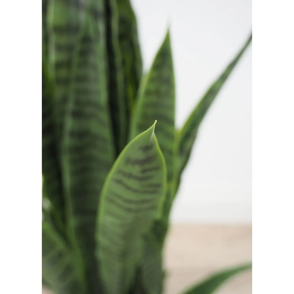 Faux Botanical Green Sansevieria In. Height