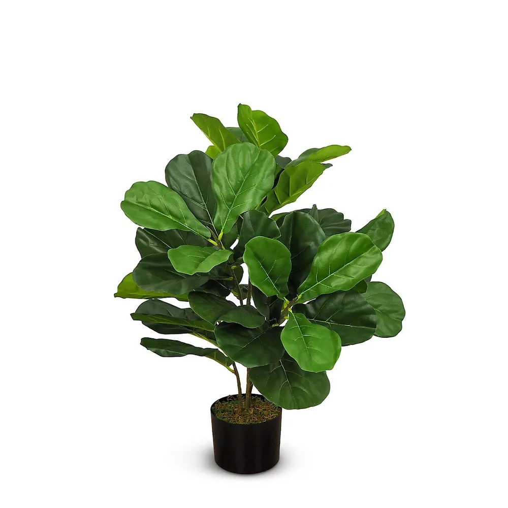Faux Botanical Fiddle Leaf Fig Tree In Green 30 In. Height