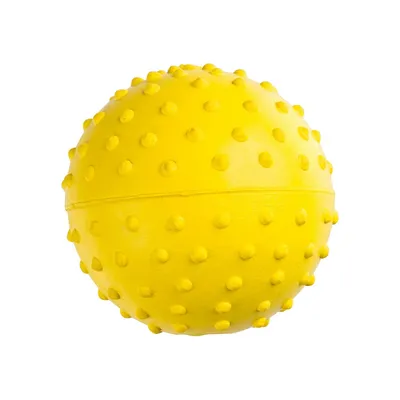 Fetch Ball With Bell Pet Toy