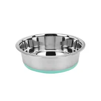 Stainless Steel and Silicone Pet Bowl