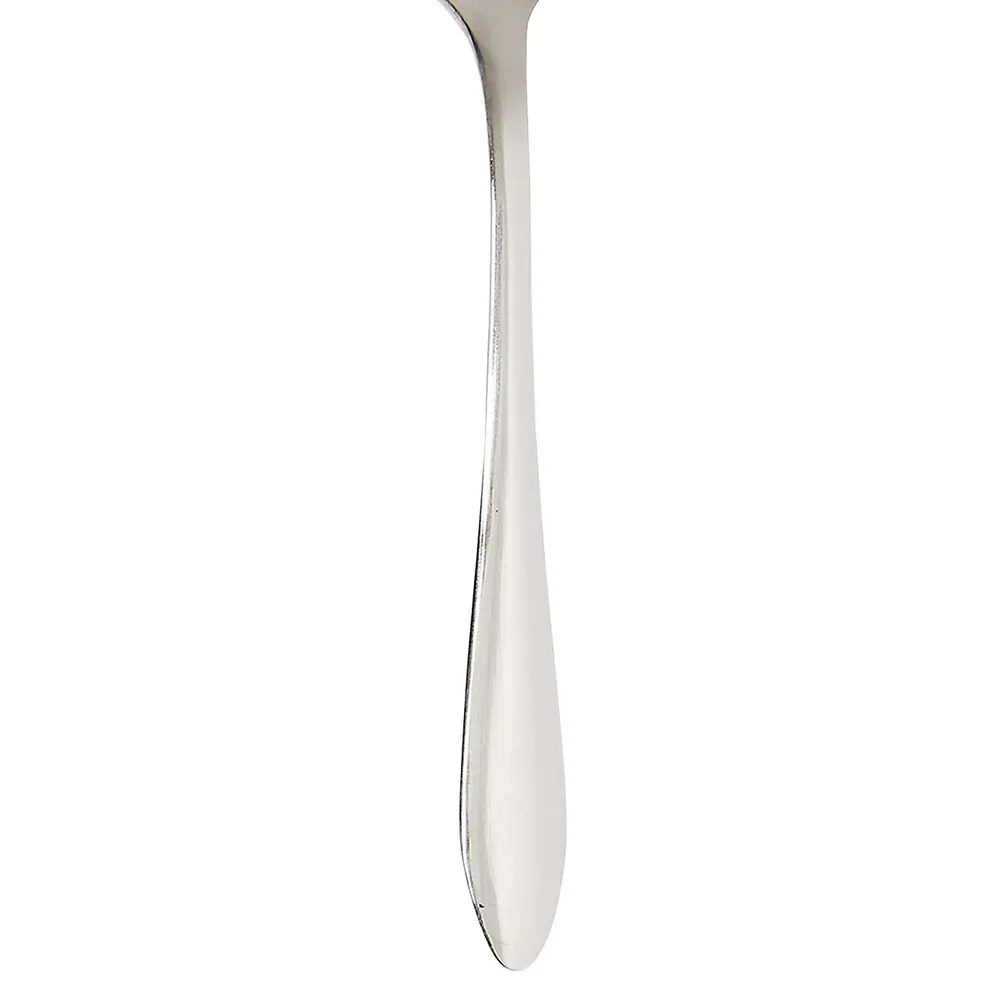 Maddison 4-Piece Soup Spoon Set