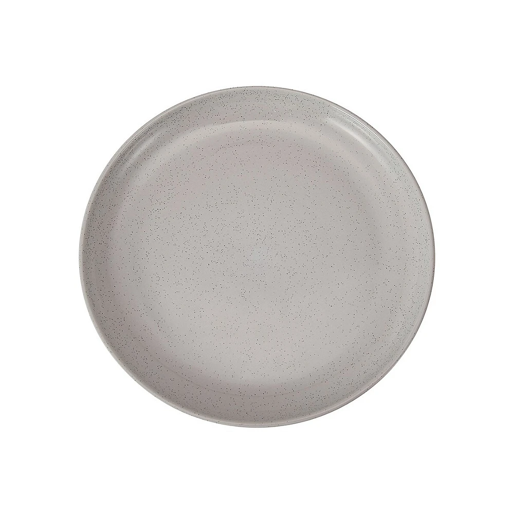 Speckled Dinner Plate