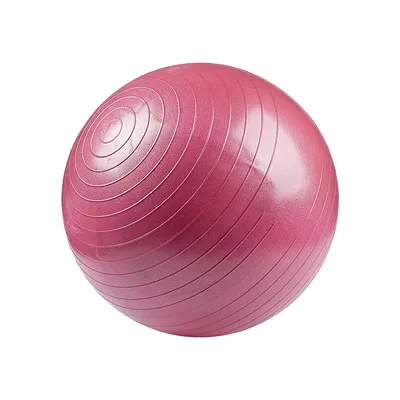 55cm Gym Ball