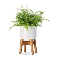 Mini Plant Pot With Stand