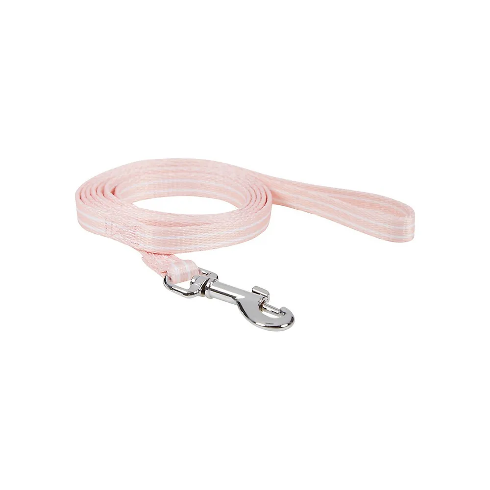 Puppy Collar and Leash