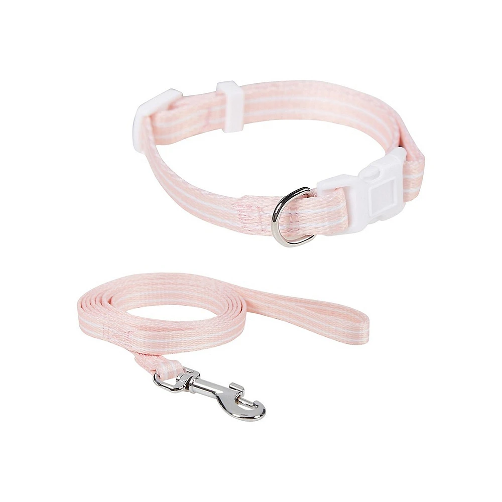 Puppy Collar and Leash