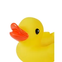 4-Piece Duck Family Bath Toys