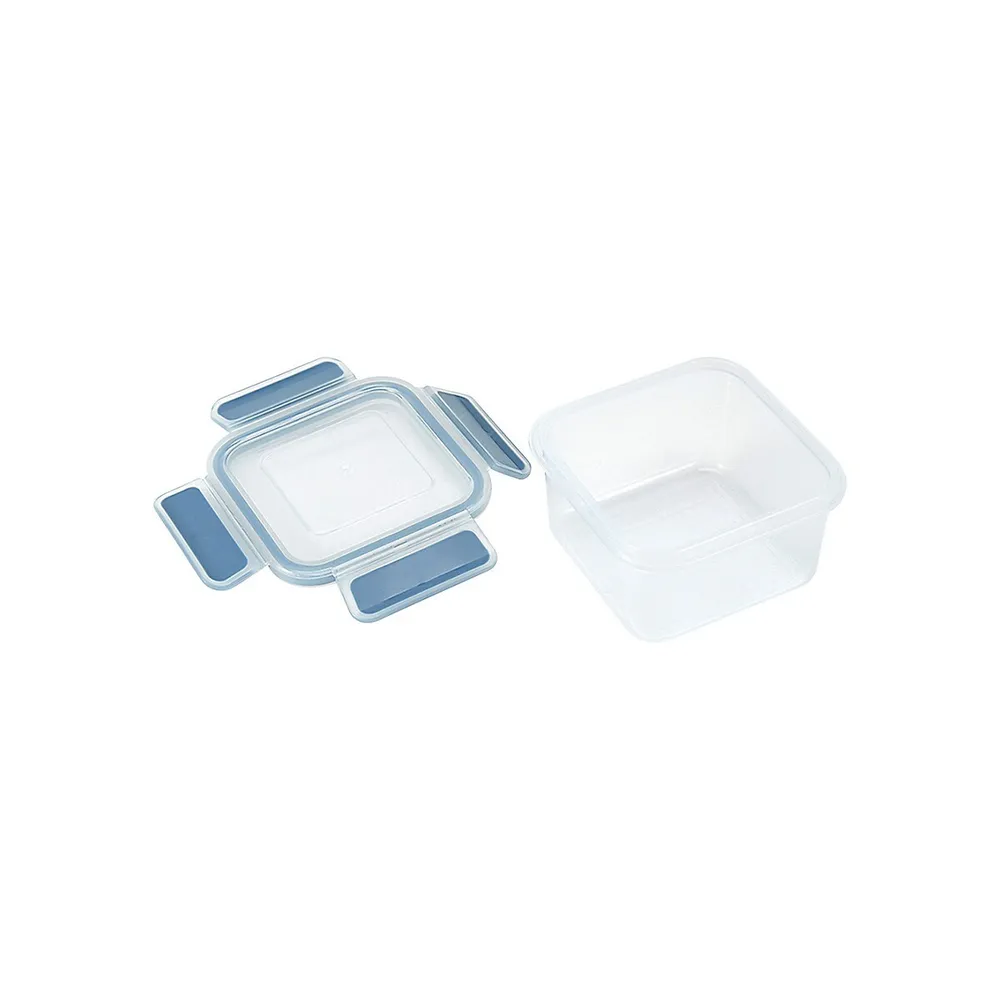 10-Pack Rectangle Clip Containers