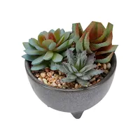 Artificial Succulent In Glazed Pot