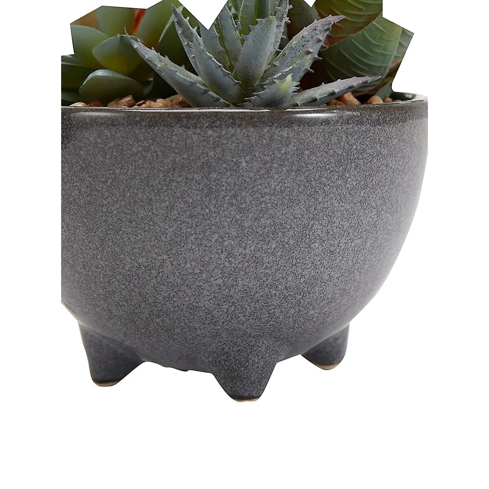 Artificial Succulent In Glazed Pot