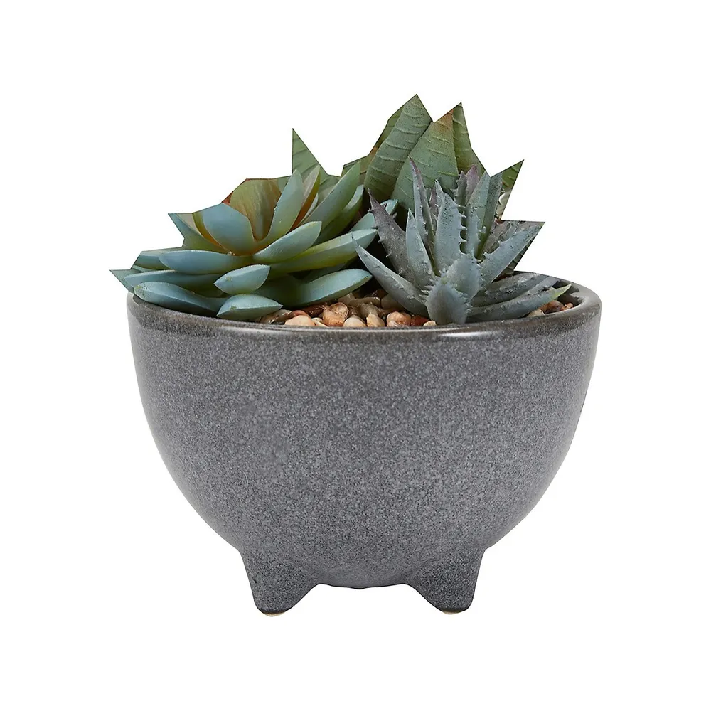 Artificial Succulent In Glazed Pot