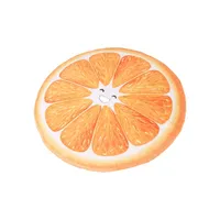 Plush Orange Disc Pet Toy