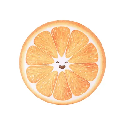 Plush Orange Disc Pet Toy