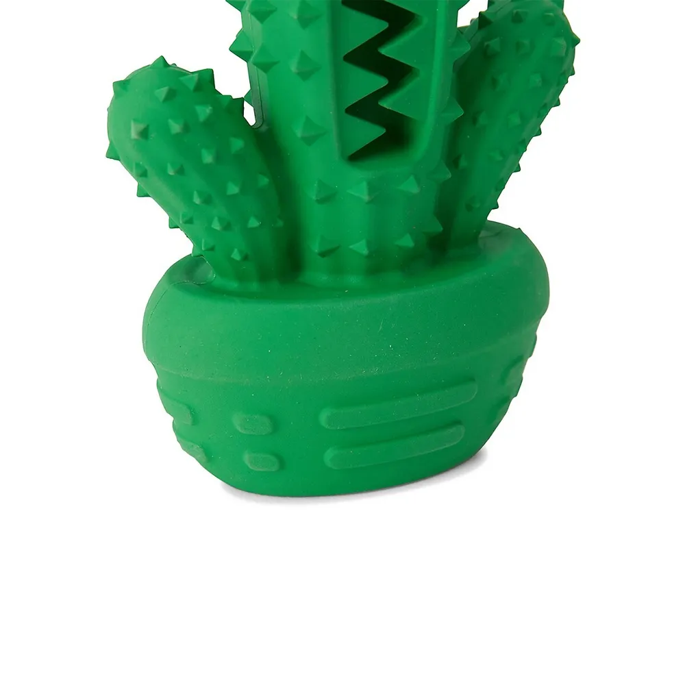Dog Toy Chew Dental Cactus - Small