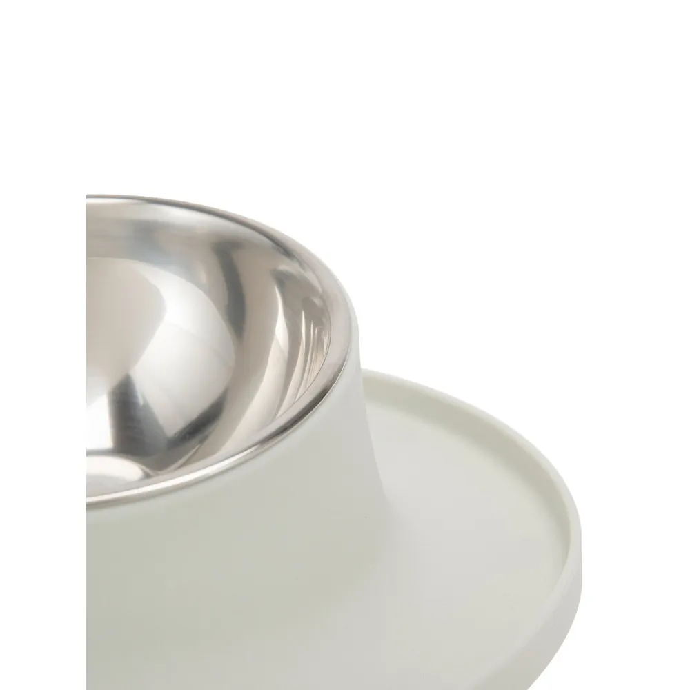 Stainless Steel And Rubber-Base Angled Pet Bowl