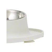 Stainless Steel And Rubber-Base Angled Pet Bowl