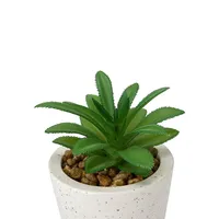 Artificial Succulent In Pot