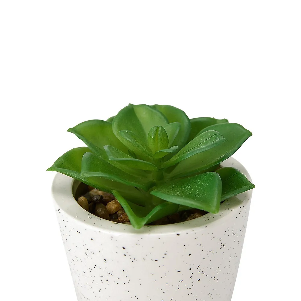 Artificial Succulent In Pot