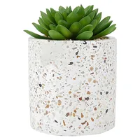 Artificial Succulent Plant and Terrazzo Pot