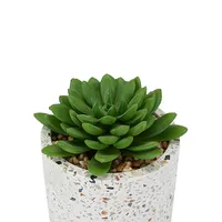 Artificial Succulent Plant and Terrazzo Pot