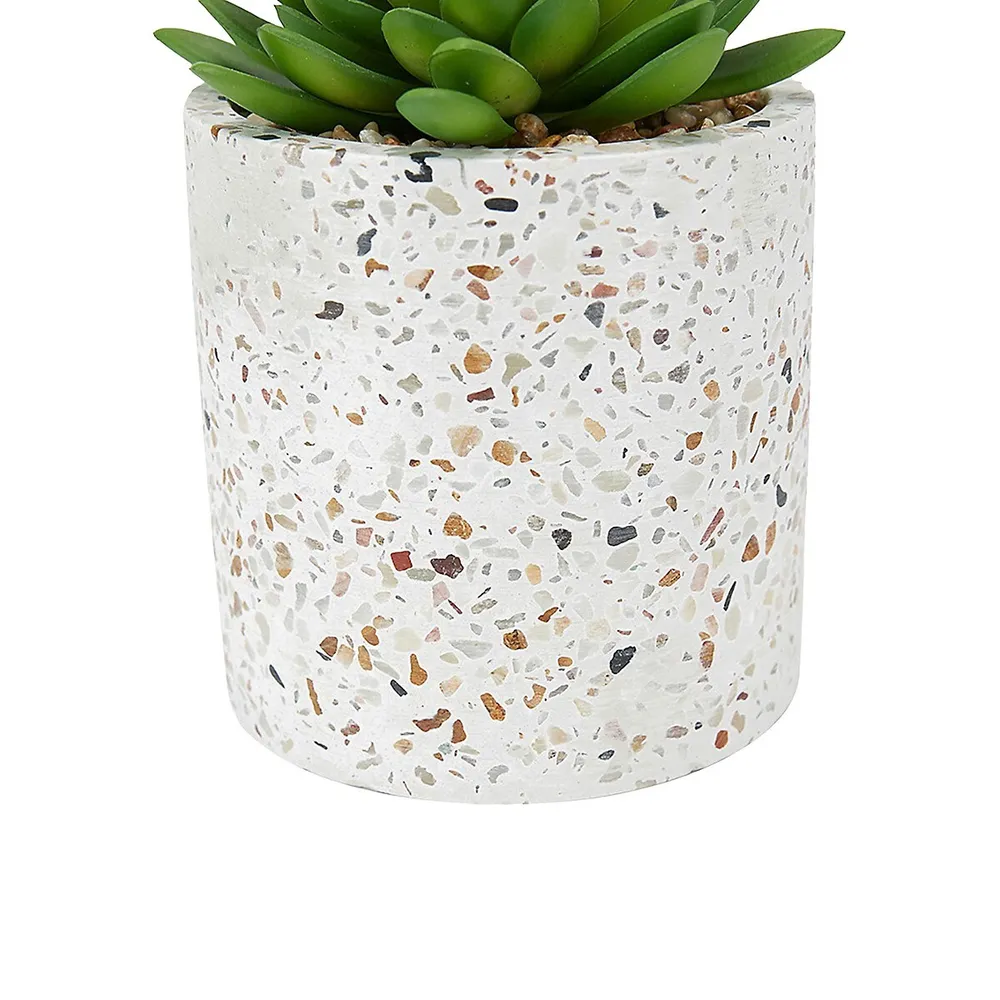 Artificial Succulent Plant and Terrazzo Pot