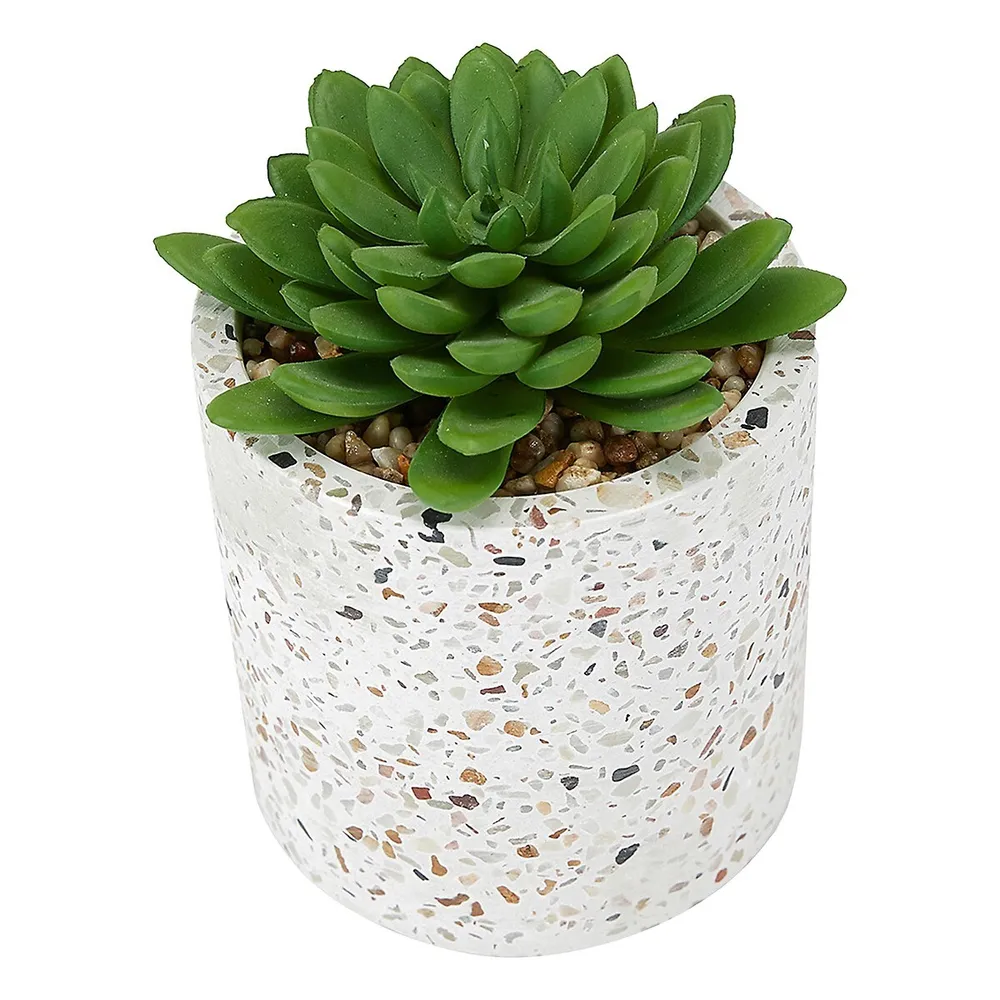 Artificial Succulent Plant and Terrazzo Pot