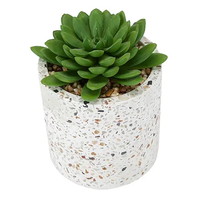 Artificial Succulent Plant and Terrazzo Pot