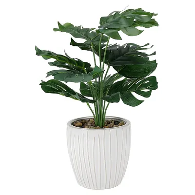 Artificial Monstera Plant and Ceramic Pot