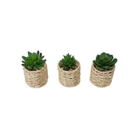 3-Piece Artificial Succulents and Rattan-Look Pot Set