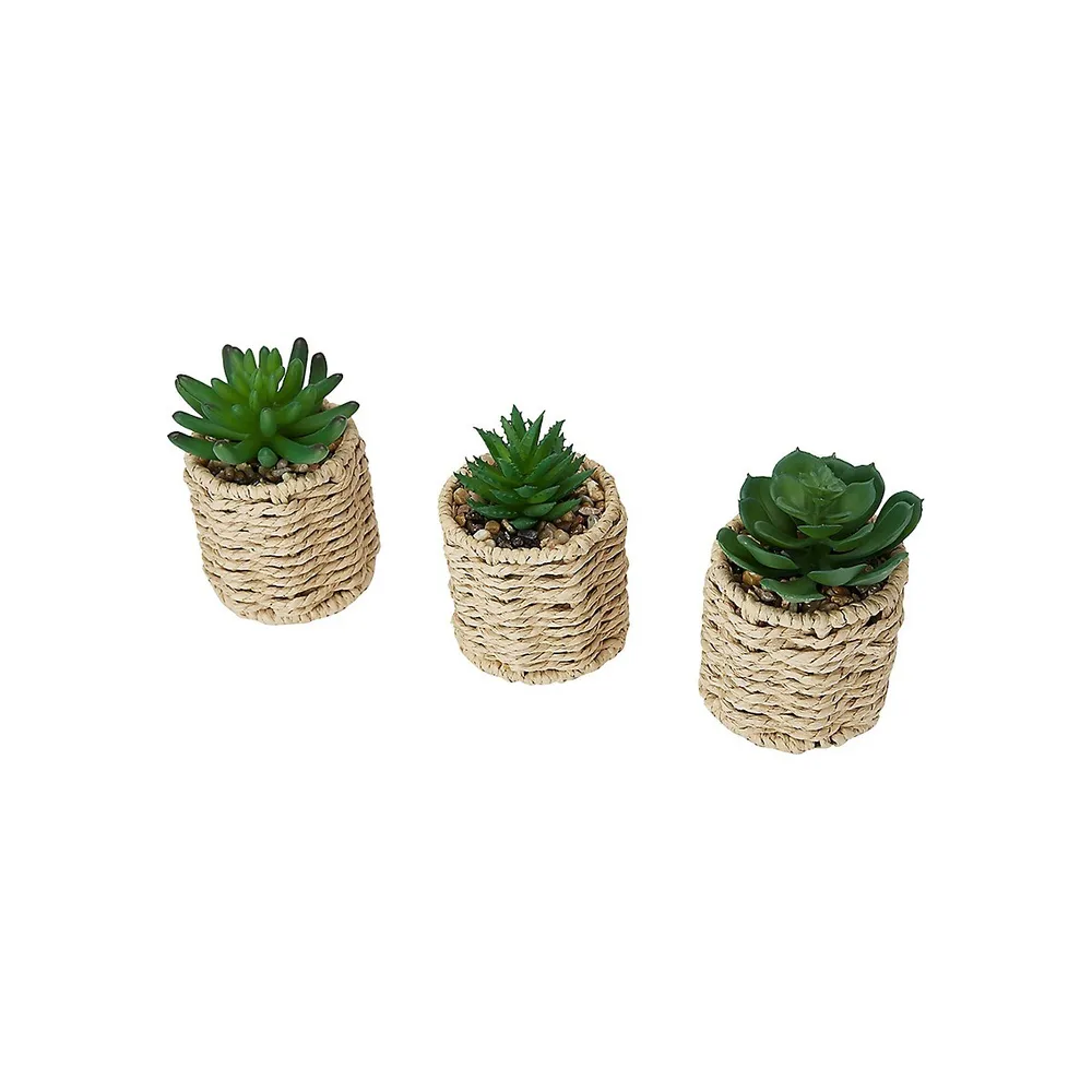 3-Piece Artificial Succulents and Rattan-Look Pot Set