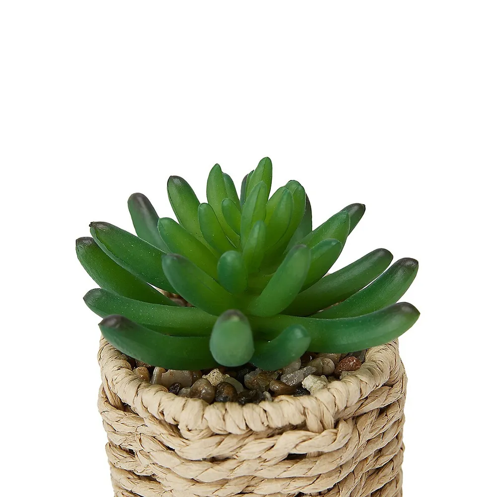 3-Piece Artificial Succulents and Rattan-Look Pot Set