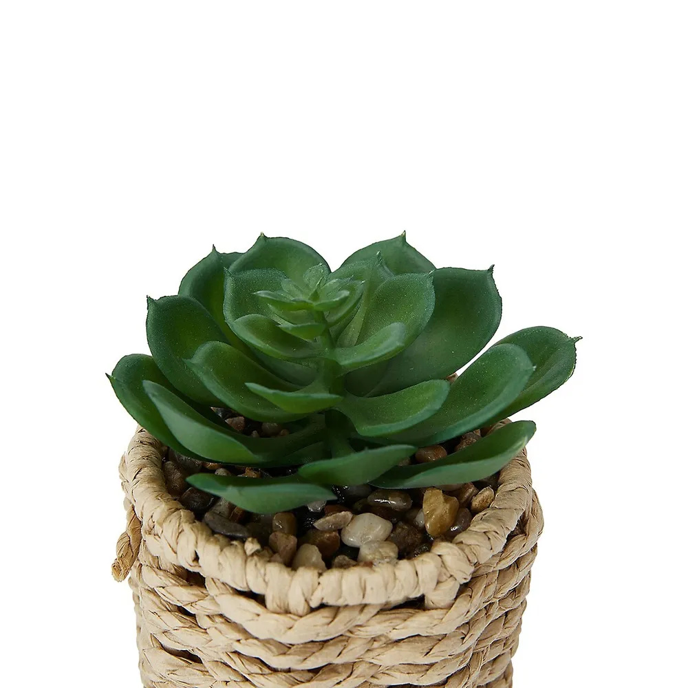 3-Piece Artificial Succulents and Rattan-Look Pot Set