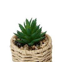 3-Piece Artificial Succulents and Rattan-Look Pot Set