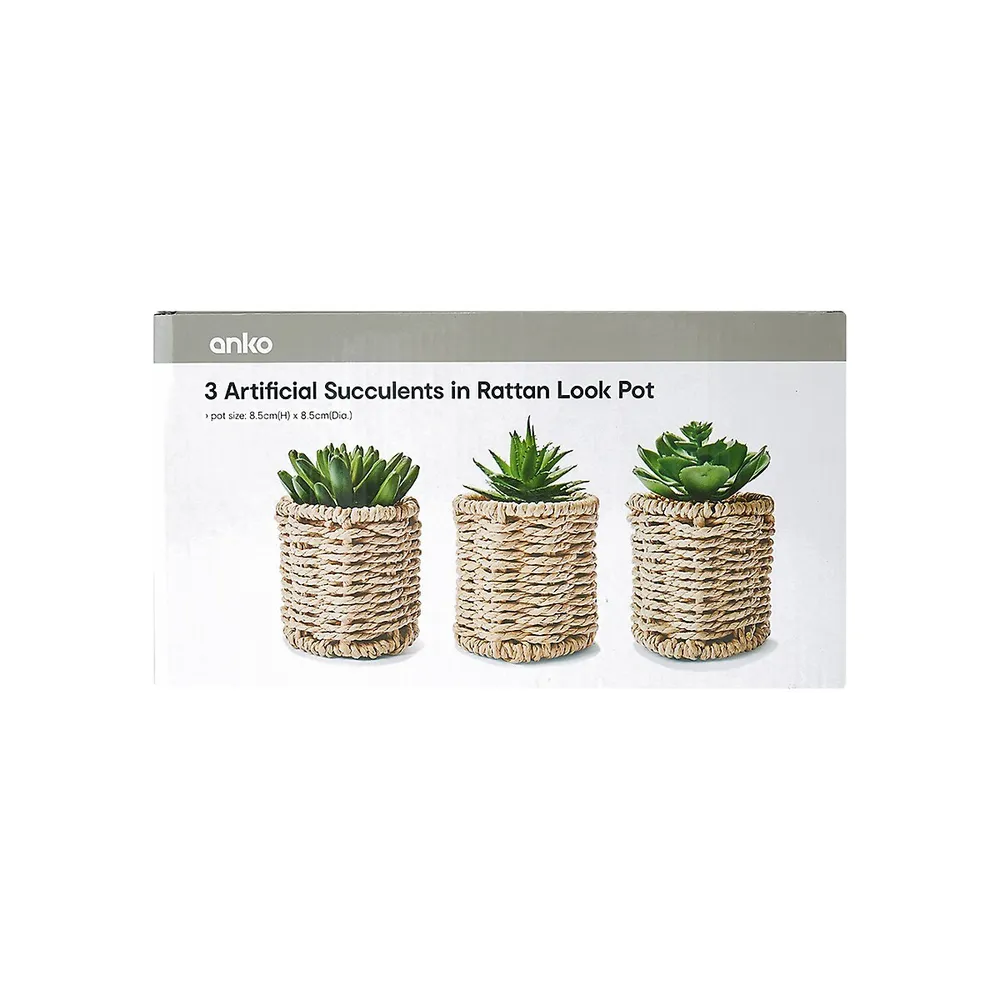 3-Piece Artificial Succulents and Rattan-Look Pot Set